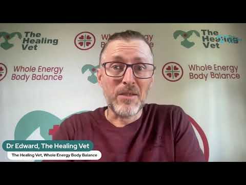 Helping Your Pets with Dr Ed, The Healing Vet #25 - Awareness and COnnection