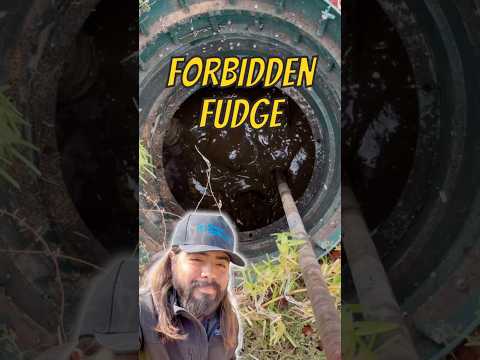 The forbidden fudge #shorts