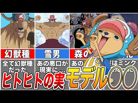 【ONE PIECE】遂に判明する！チョッパーの悪魔の実モデル〇〇！【ゆっくり解説】