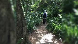 富陽生態公園、福州山、中埔山散步