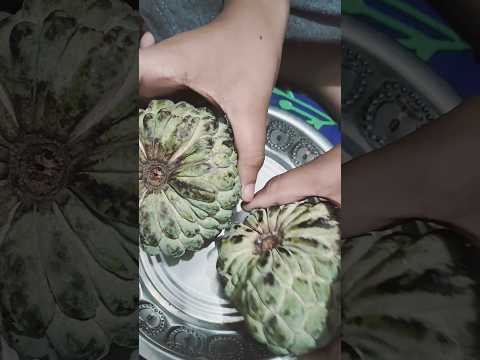 Custard apple (sitapalam) benefits🤗👏👏 #fruit #amazingfacts 👌🤝