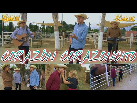 Corazón, Corazoncito / El Guache De Tierra Caliente / Vídeo Oficial 2021