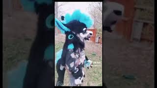 BEST Furry TikToks compilation 0407 #shorts #furrytiktok #furry #furrycompilation  #funnyvideo