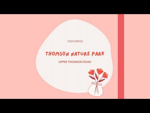 Hidden Gem in Thomson (Part 1/3): Thomson Nature Park