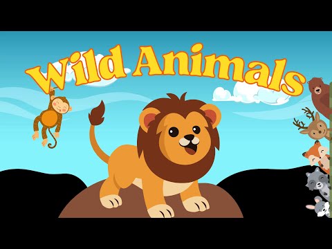 Wild Animals Learning for Toddlers | Forest Animal 🐵🐔🐶🐷