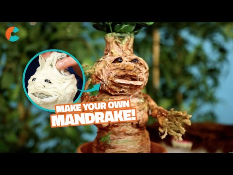 How to Make a Screaming Mandrake! | Craft Factory