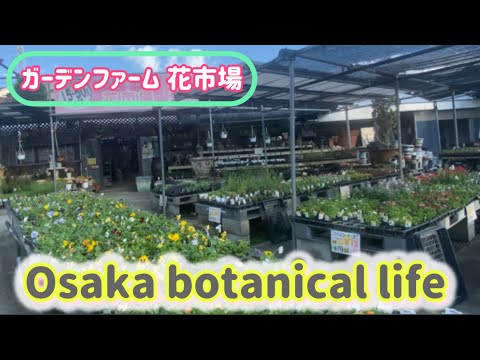 🍃Osaka botanical life🍃ガーデンファーム花市場に行ってきました💗