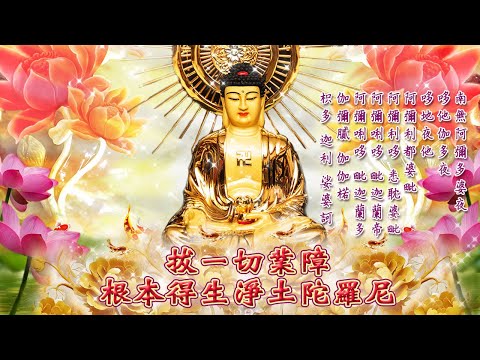 【往生淨土陀羅尼~🙏優美佛曲★美聲演唱版】~🌸皈命阿彌陀如來🙏🙏🙏