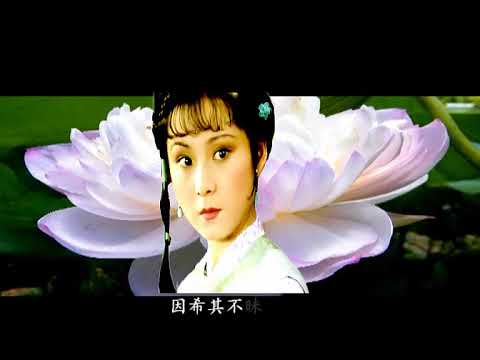 0041 《红楼梦·芙蓉女儿诔》（宝玉）