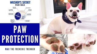 French Bulldog Demo: Musher's Secret Paw Wax Review | Dog Paw Protection | Frenchie Trekker TV