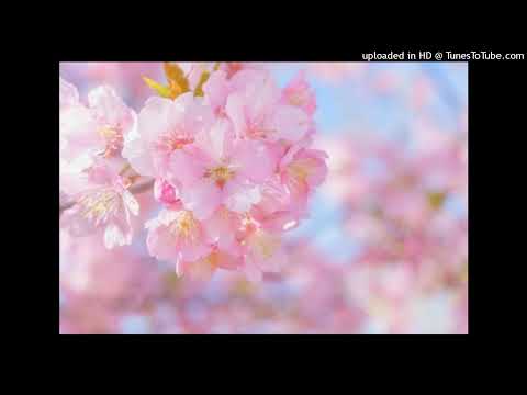 卒業写真♬荒井由実/松任谷由美　弾き語り　COVER