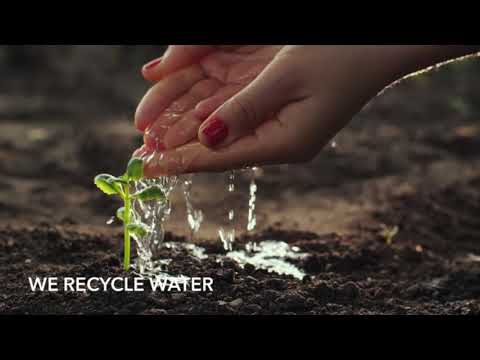 World Environment Day. Reimagine| Recreate| Restore