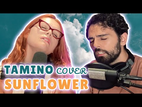 Tamino - Sunflower (LIVE Cover by Lolli Wren & Carlos Sanches)