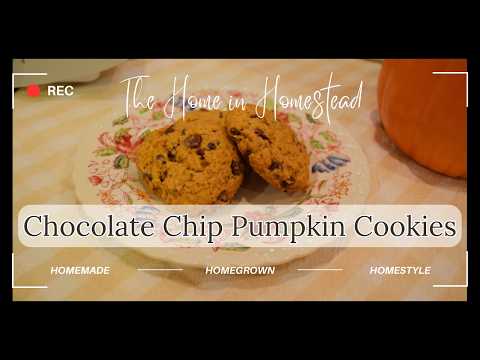 Chocolate Chip Pumpkin Cookies | Pumpkin Recipe | Tasty Cookies with Great Fall Flavor | Bosch Mixer