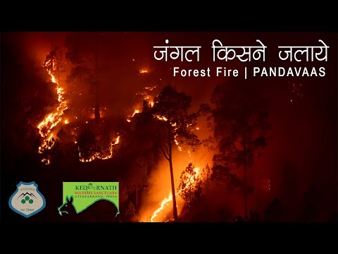 Jungle Kisne Jalaye | Forest Fire | Pandavaas | Lavraj