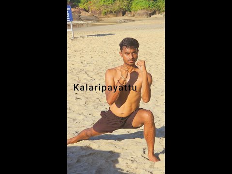 Learning Kalaripayattu: My Transformative 2-Month Journey in Kerala