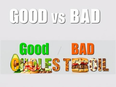 GOOD VS BAD CHOLESTROL🥑💪