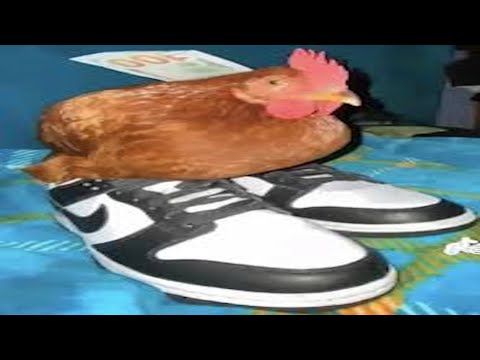 TRY NOT TO LAUGH 😂 Best Funny Video Compilation 🤣🤪😅 Memes PART 92