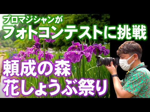 【富山】フォトコンテストに参戦⁉ 花しょうぶ祭りで絶景写真に挑戦　コンプレッサー見聞録onYouTubeDesigned by The COMP