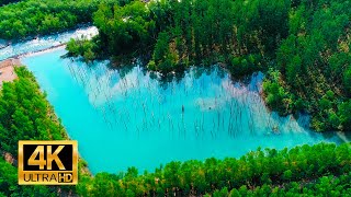 【絶景/空撮】青い池 北海道美瑛町《4K》 "Blue Pond" Hokkaido