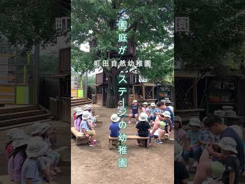 町田自然幼稚園【園庭がステージの幼稚園】