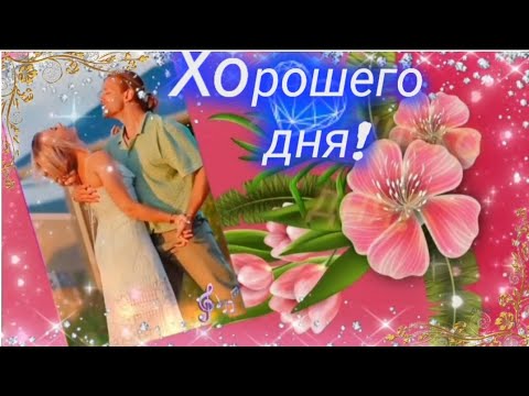 Хорошего дня ☀️