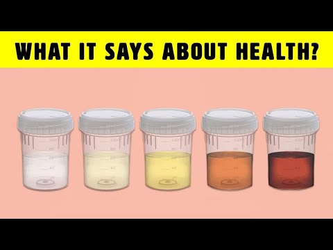 What The Color Of Your Urine Says About Your Health.