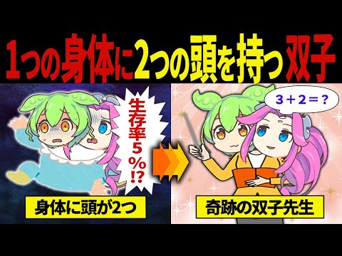 【実話】2つの頭を持って生まれてきたずんだもんの末路...【ずんだもん&ゆっくり解説】