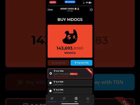 Check your Money Dogs Airdrop Allocation |CHECK NOW| #mdogs #moneydogs #touchbillions