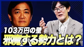 【国民民主党 103万円の壁を邪魔する勢力】なぜ減税を嫌がるのか？外国勢力を使ってでも緊縮財政を進める理由[三橋TV第952回]三橋貴明・saya