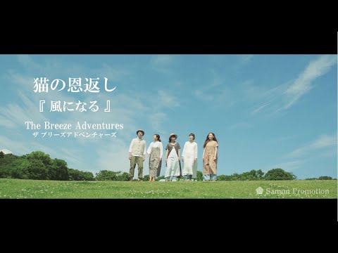 猫の恩返し「風になる」歌：ザ ブリーズ アドベンチャーズ　The Cat Returns - Become the Wind / Song by The Breeze Adventures