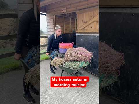 Autumn Morning Routine 🍁 #equestrian