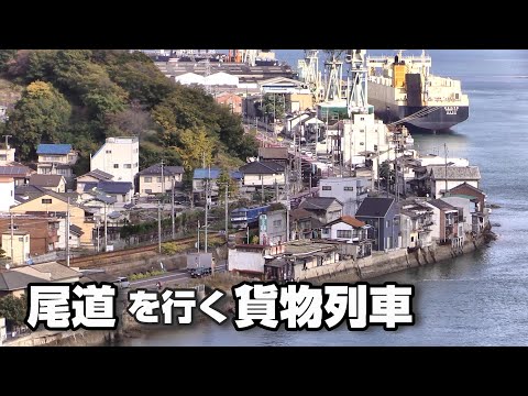 山陽本線　尾道市内を行く貨物列車 ②