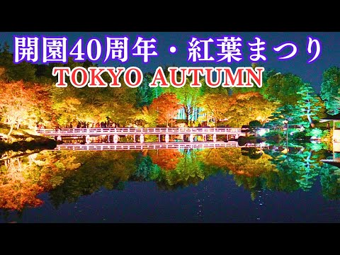 TokyoAutumnLeaves【Showa Kinen Park】