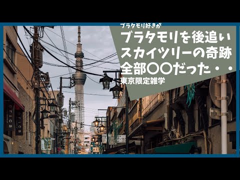 ブラタモリ 10月8日放送「なぜここにスカイツリーは立っている？」を勝手に後追＆解説する【東京】【雑学】【押上】【隅田川】【浅草】【歴史】【解説動画】【フィリップ　スタルク】【おもしろ】【聞き流し】