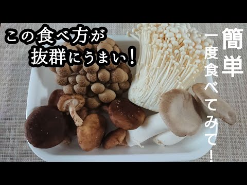 【きのこレシピ】すべてのきのこ好きたちに捧げます/きのこ好きなら絶対ハマる♪美味しく健康に腸活、菌活しましょう