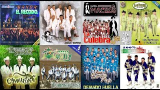 VAMONOS DE FIESTA ESTA NOCHE MIX QUEBRADITA - DJ DEL REAL d[-.-]b