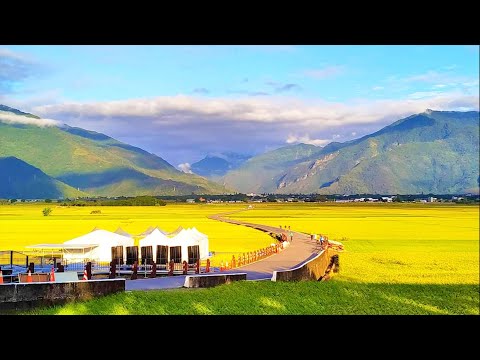 自然河水 钢琴音乐  平静静心  解压放松 Ambient  Music  piano music  relaxing music