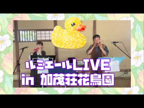 【Lumiere-ルミエール-】6/17 加茂荘花鳥園にてLIVE 本島慎也　松島花帆莉