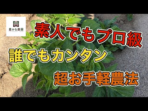 【豊かな農園21】素人でもプロ級の出来上がり？！誰でもカンタン超お手軽農法とは？！