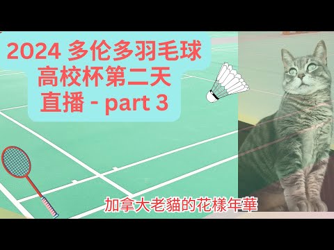 2024年多伦多高校杯羽毛球赛第二天 B组直播 part 3