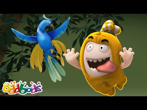 Bird Watching | Oddbods Full Episode | Funny Cartoons for Kids