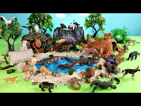 Herbivores Carnivores and Omnivores - Learn Animal Names for Kids