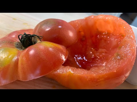 [Super] How to make tomato pasta without a plate🍅