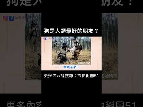 【狗是人類最好的朋友？】 #迷因 #梗圖 #笑話 #狗狗