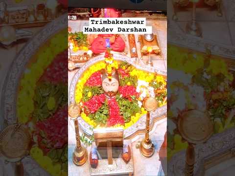 Trimbakeshwar Mahadev Darshan #trimbakeshwar #mahadev #ytshorts #shorts