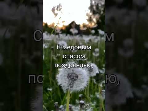 С медовым спасом!#shorts #доброеутро #пожелания