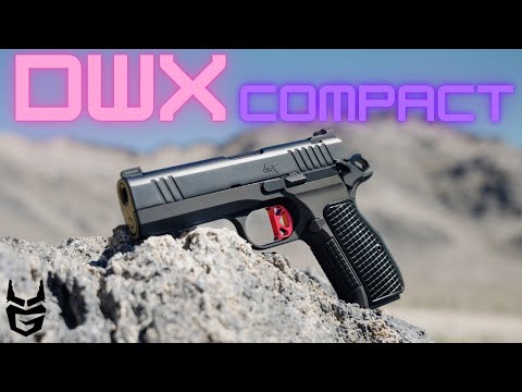 Dan Wesson DWX Compact!  A lil blend of everything.