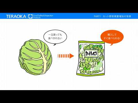 炭酸電解次亜水 Part1 (カット野菜需要増加の背景)