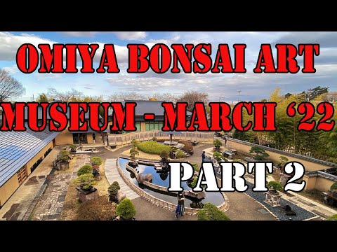 Omiya Bonsai Art Museum - さいたま市大宮盆栽美術館 - 2022 March (part 2).